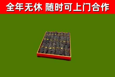 台儿庄回收海参